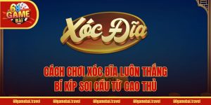 Cách Chơi Xóc Đĩa Luôn Thắng - Bí Kíp Soi Cầu Từ Cao Thủ